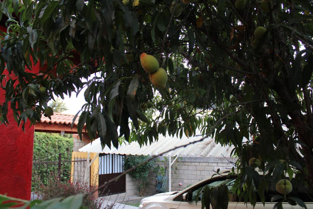Appartement Betos Departamentos à Valle de Bravo Extérieur photo